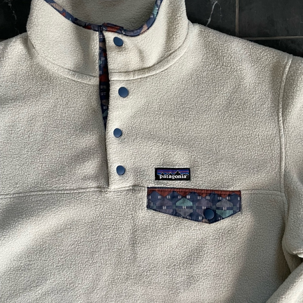 Patagonia Synchilla Fleece Pullover